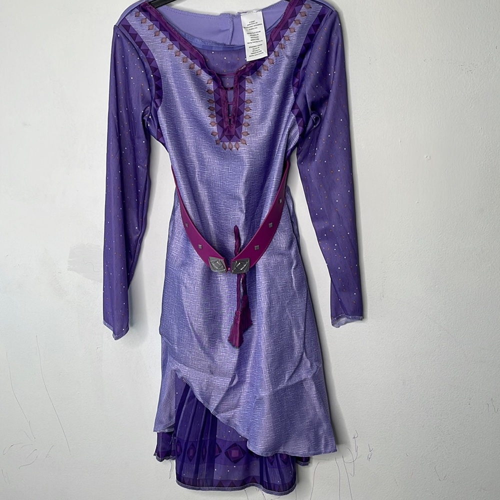 Disney Wish Costume Play Dress